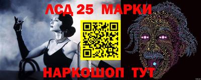 индика Новокубанск